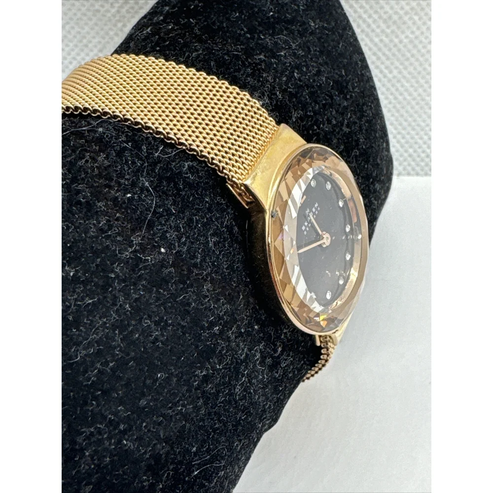 Skagen Leonora 456SRR1 Womens Rose Gold-Tone Steel Mesh Analog Dial Watch AEA155